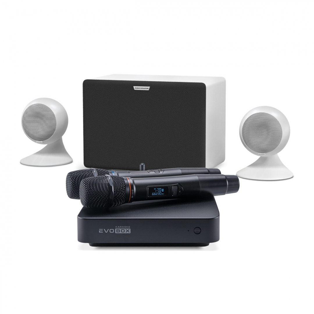 караоке-комплект EVOBOX Classic + EvoSound Sphere 2.1 в Самарской области