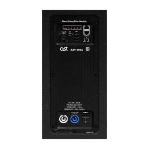 Активная акустическая система AST-310A в Самарской области