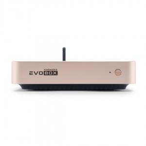 EVOBOX Plus караоке-система для дома в Самарской области